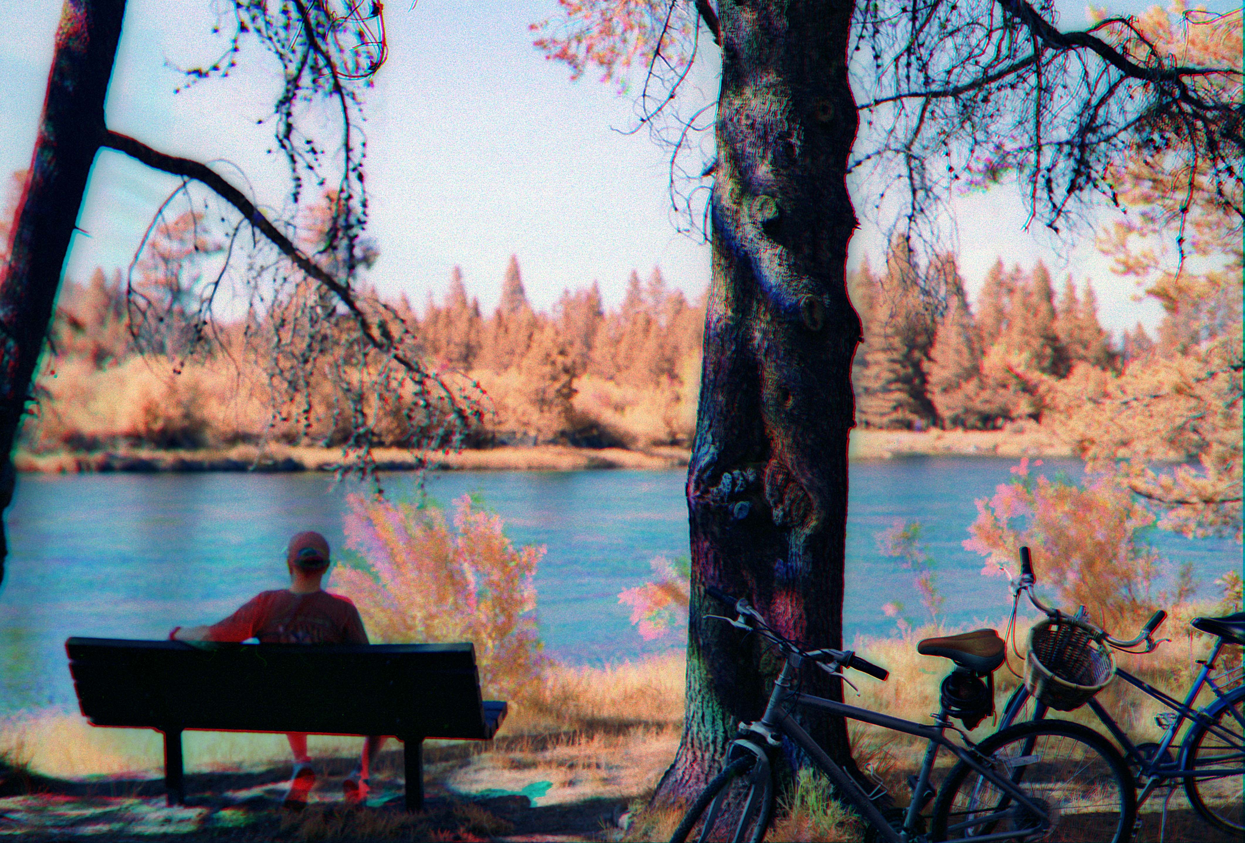 Photo of a person sitting on a bench looking over a river. There are splotches of color on the person and surrounding foliage.