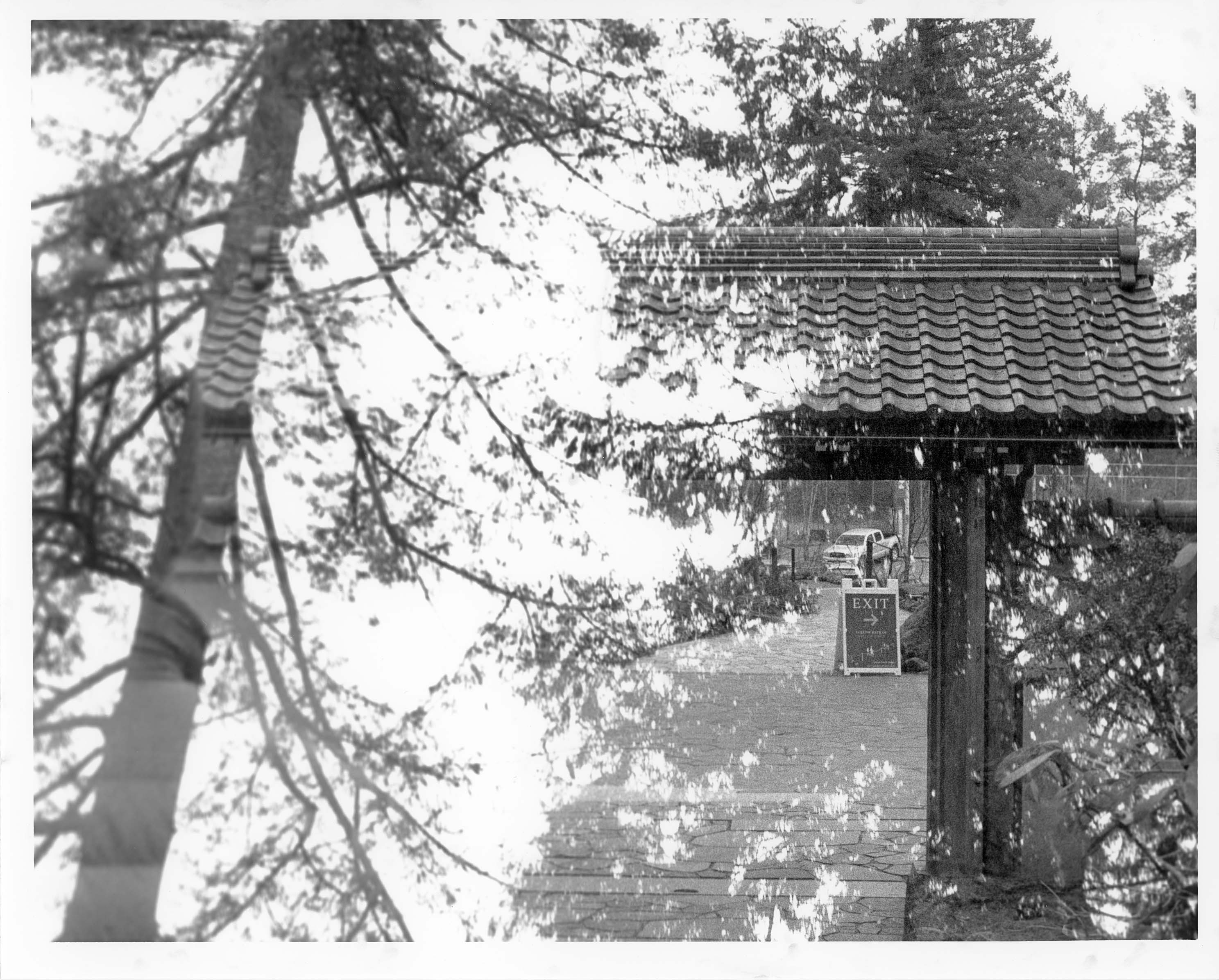 Black and white photo of an archway only visible through the trees (double exposure).